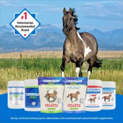 Nutramax Cosequin ASU Powder Joint Health Supplement For Horses -Weaver Leather || Finish Line || Cavalor Shop 106173 PT2. AC SS1800 V1624308464