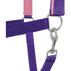 Tough-1 Nylon Padded Halter With Satin Horse Hardware, Purple 6 Tough-1 Nylon Padded Halter With Satin Horse Hardware, Purple -Weaver Leather || Finish Line || Cavalor Shop 106932 PT2. AC SS1800 V1514561608