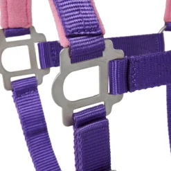 Tough-1 Nylon Padded Halter With Satin Horse Hardware, Purple 7 Tough-1 Nylon Padded Halter With Satin Horse Hardware, Purple -Weaver Leather || Finish Line || Cavalor Shop 106932 PT3. AC SS1800 V1514561628