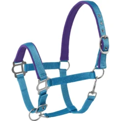 Tough-1 Nylon Padded Halter With Satin Horse Hardware, Turquoise