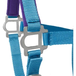 Tough-1 Nylon Padded Halter With Satin Horse Hardware, Turquoise -Weaver Leather || Finish Line || Cavalor Shop 106935 PT3. AC SS1800 V1514561653