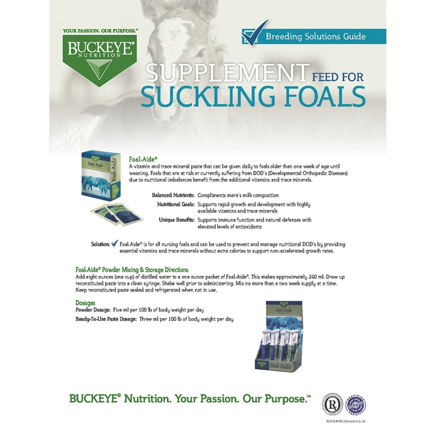 Buckeye Nutrition Foal-Aide Vitamin & Mineral Paste Horse Supplement 4 Buckeye Nutrition Foal-Aide Vitamin & Mineral Paste Horse Supplement - Image 4