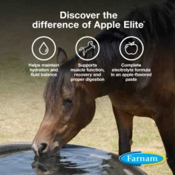 Farnam Apple Elite Electrolyte Paste Apple Flavor Horse Supplement -Weaver Leather || Finish Line || Cavalor Shop 115468 PT2. AC SS1800 V1692209800