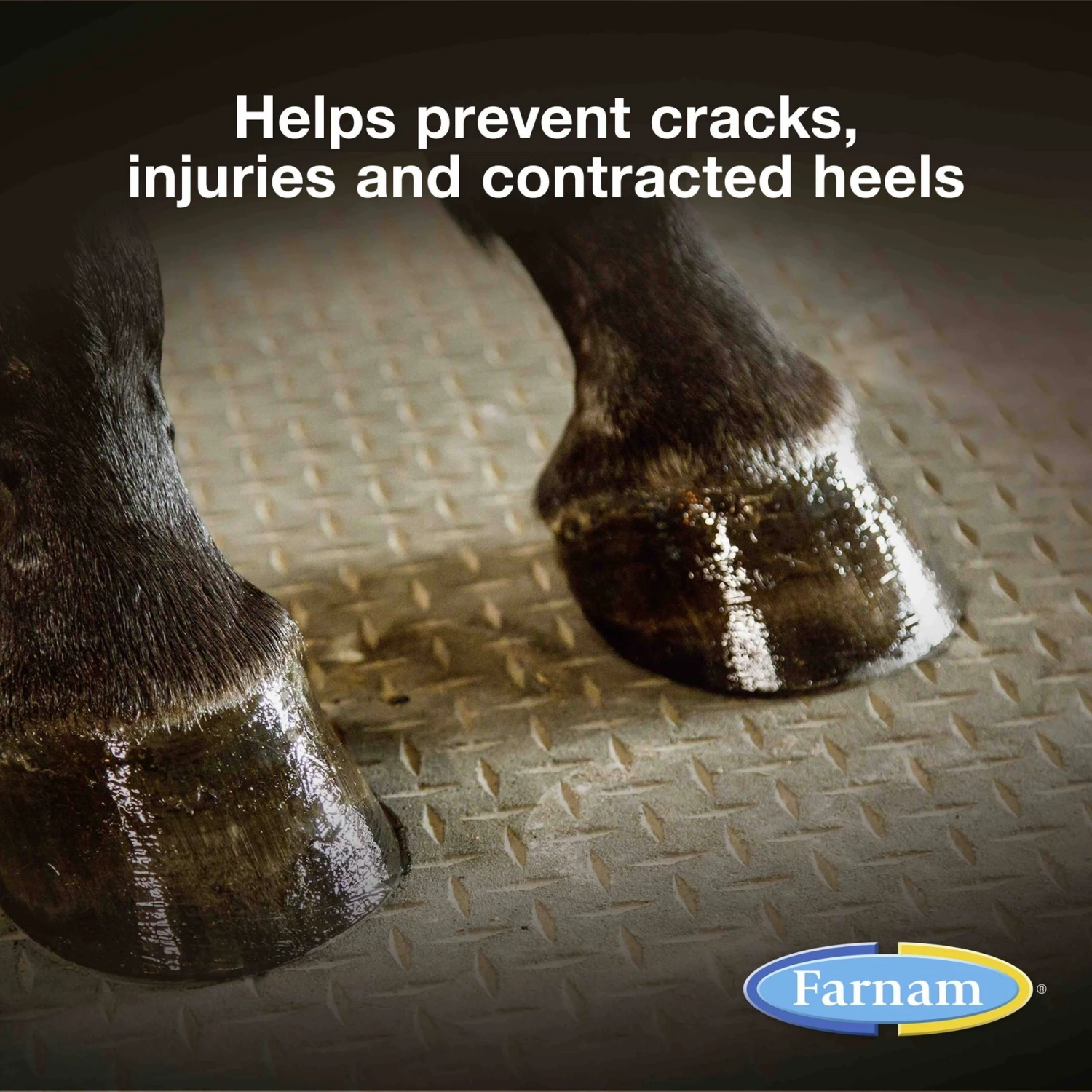 Farnam Rain Maker Horse Hoof Moisturizer 2 Farnam Rain Maker Horse Hoof Moisturizer - Image 2
