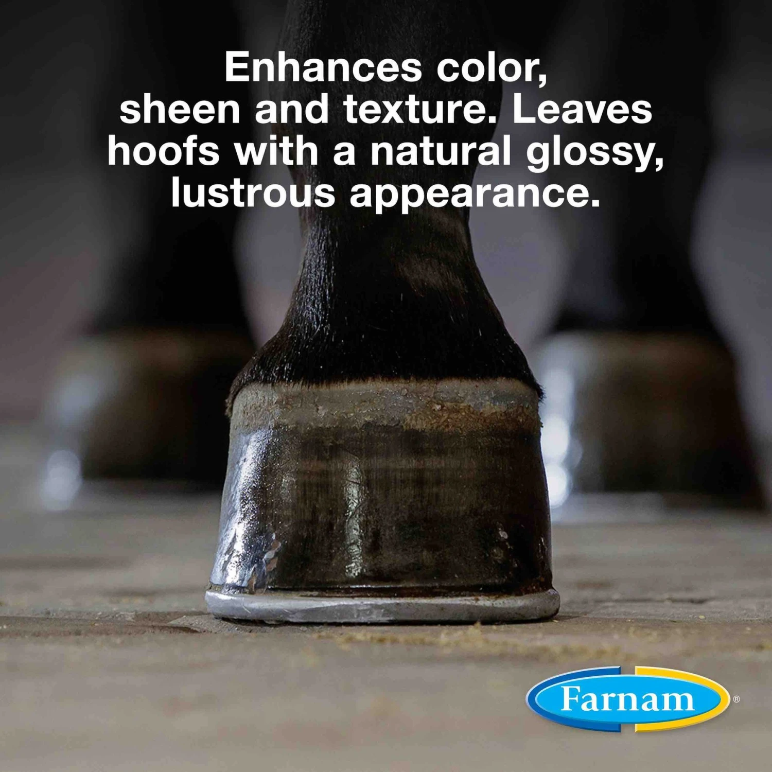 Farnam Rain Maker Horse Hoof Moisturizer 5 Farnam Rain Maker Horse Hoof Moisturizer - Image 5