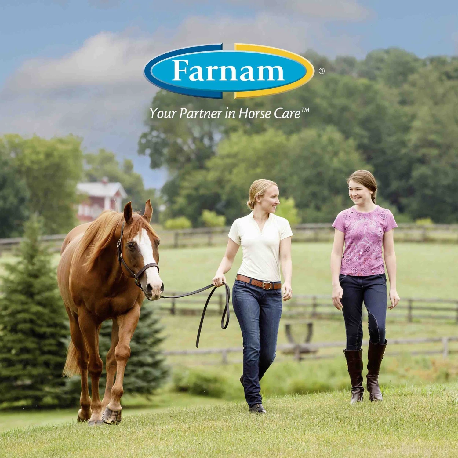 Farnam Rain Maker Horse Hoof Moisturizer 8 Farnam Rain Maker Horse Hoof Moisturizer - Image 8