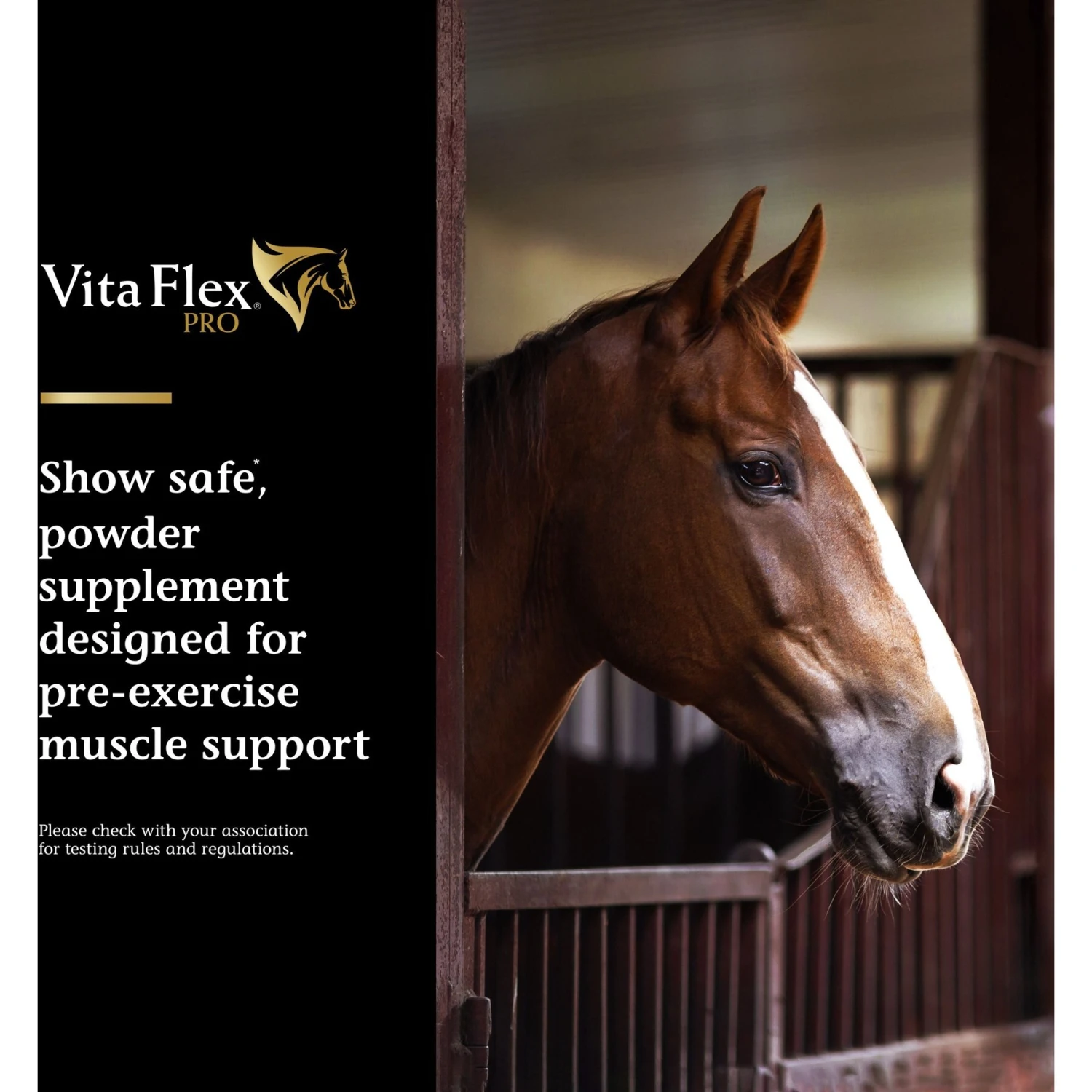 Vita Flex Pro Lactanase Muscle & Metabolism Powder Horse Supplement, 25-gm Packet 2 Vita Flex Pro Lactanase Muscle & Metabolism Powder Horse Supplement, 25-gm Packet - Image 2