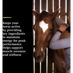 Vita Flex Pro Lactanase Muscle & Metabolism Powder Horse Supplement, 25-gm Packet 11 Vita Flex Pro Lactanase Muscle & Metabolism Powder Horse Supplement, 25-gm Packet -Weaver Leather || Finish Line || Cavalor Shop 115705 PT3. AC SS1800 V1681850110