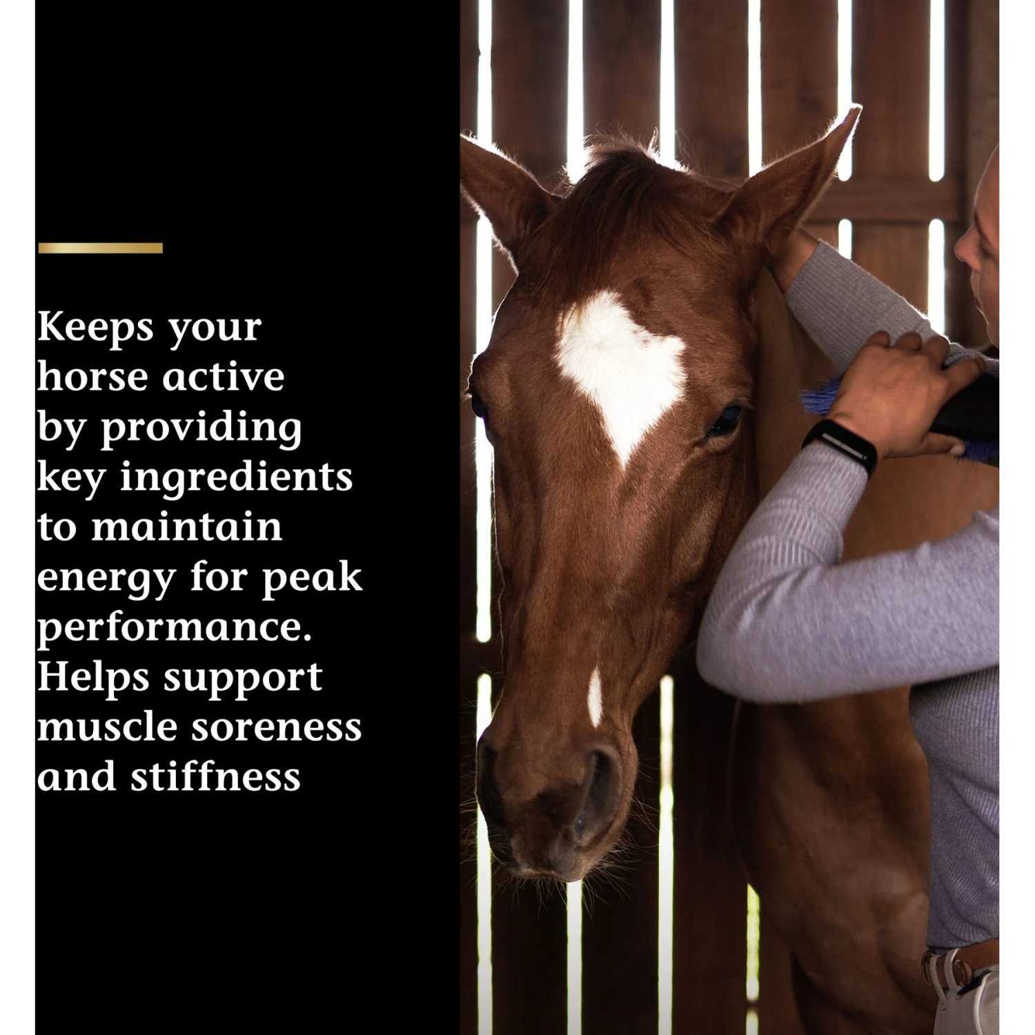 Vita Flex Pro Lactanase Muscle & Metabolism Powder Horse Supplement, 25-gm Packet 4 Vita Flex Pro Lactanase Muscle & Metabolism Powder Horse Supplement, 25-gm Packet - Image 4