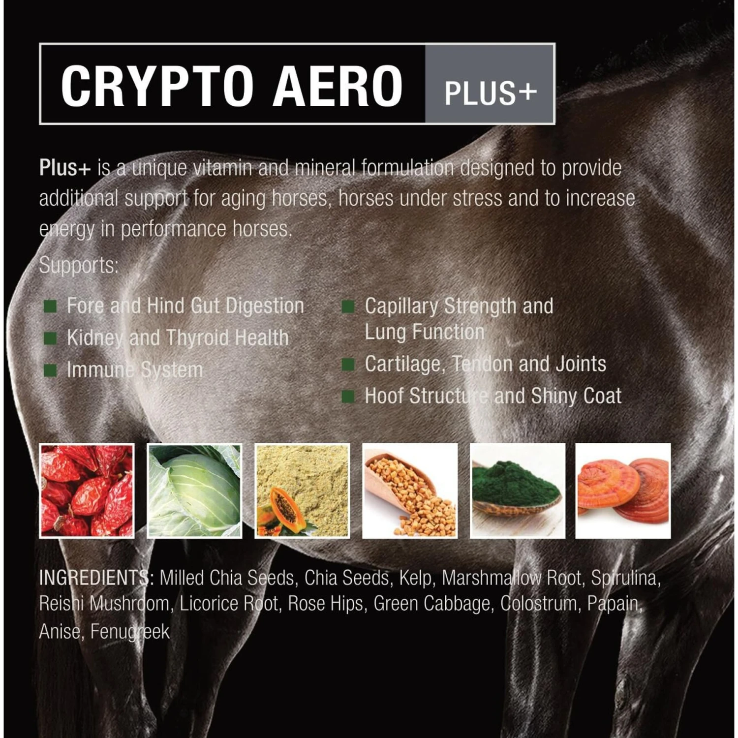 Crypto Aero Plus Comprehensive Powder Horse Supplement 2 Crypto Aero Plus Comprehensive Powder Horse Supplement - Image 2