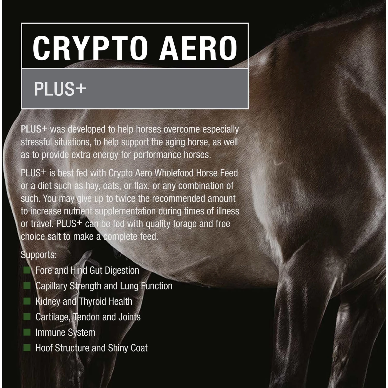 Crypto Aero Plus Comprehensive Powder Horse Supplement 3 Crypto Aero Plus Comprehensive Powder Horse Supplement - Image 3