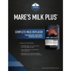 Buckeye Nutrition Mare's Milk Plus Milk Replacer Powder Horse Supplement -Weaver Leather || Finish Line || Cavalor Shop 143976 PT3. AC SS1800 V1671030337