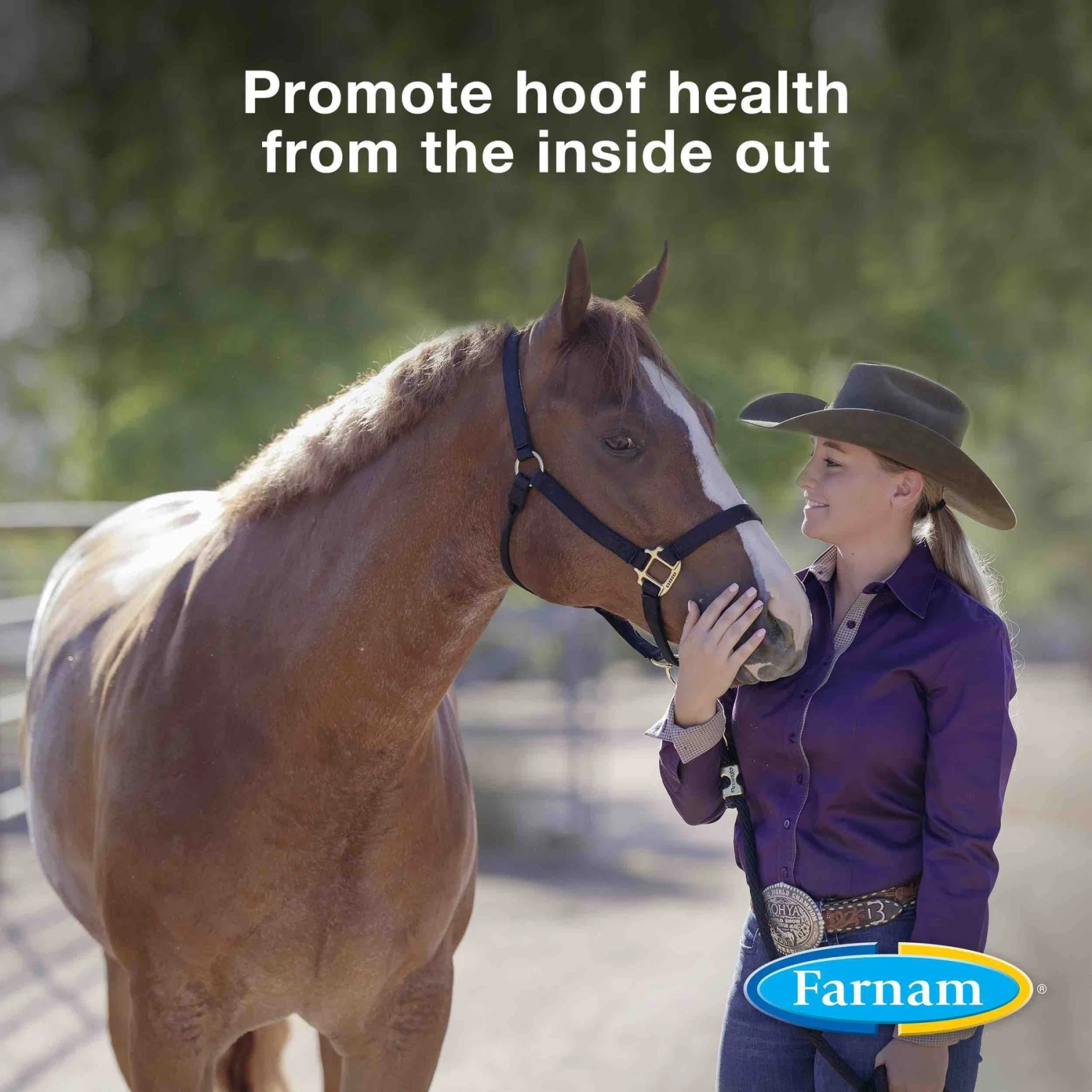 Farnam Horseshoer's Secret Hoof Health Hay Flavor Pellets Horse Supplement 2 Farnam Horseshoer's Secret Hoof Health Hay Flavor Pellets Horse Supplement - Image 2