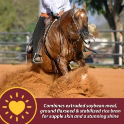 Farnam Laser Sheen Skin & Coat Horse Supplement 13 Farnam Laser Sheen Skin & Coat Horse Supplement -Weaver Leather || Finish Line || Cavalor Shop 165239 PT4. AC SS1800 V1621300653