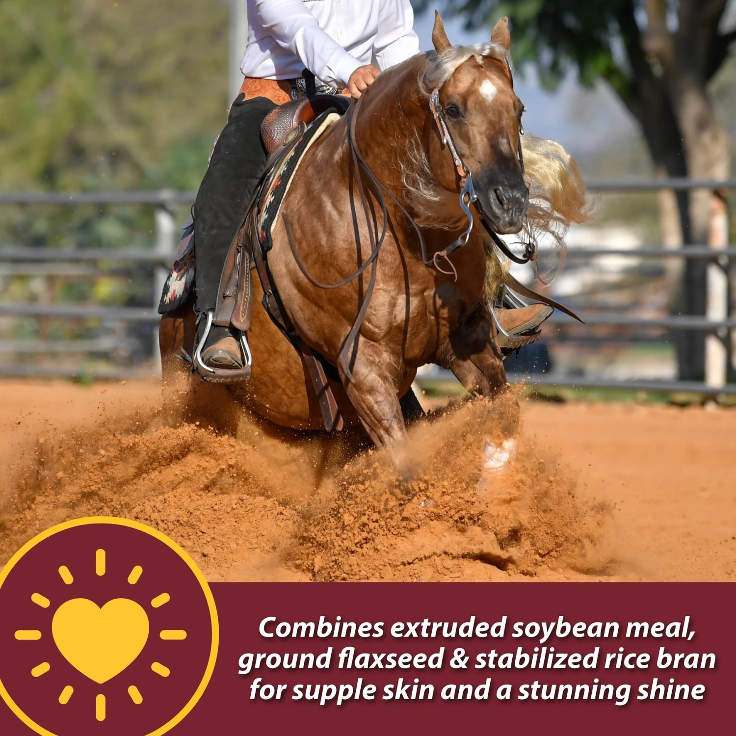 Farnam Laser Sheen Skin & Coat Horse Supplement 5 Farnam Laser Sheen Skin & Coat Horse Supplement - Image 5