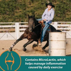 Farnam Next Level Performance Butter Flavor Pellets Horse Supplement -Weaver Leather || Finish Line || Cavalor Shop 165241 PT4. AC SS1800 V1605135446