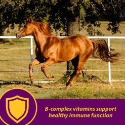 Horse Health Products Red Cell Pellets Horse Supplement, 64-day Supply -Weaver Leather || Finish Line || Cavalor Shop 165249 PT2. AC SS1800 V1622922773