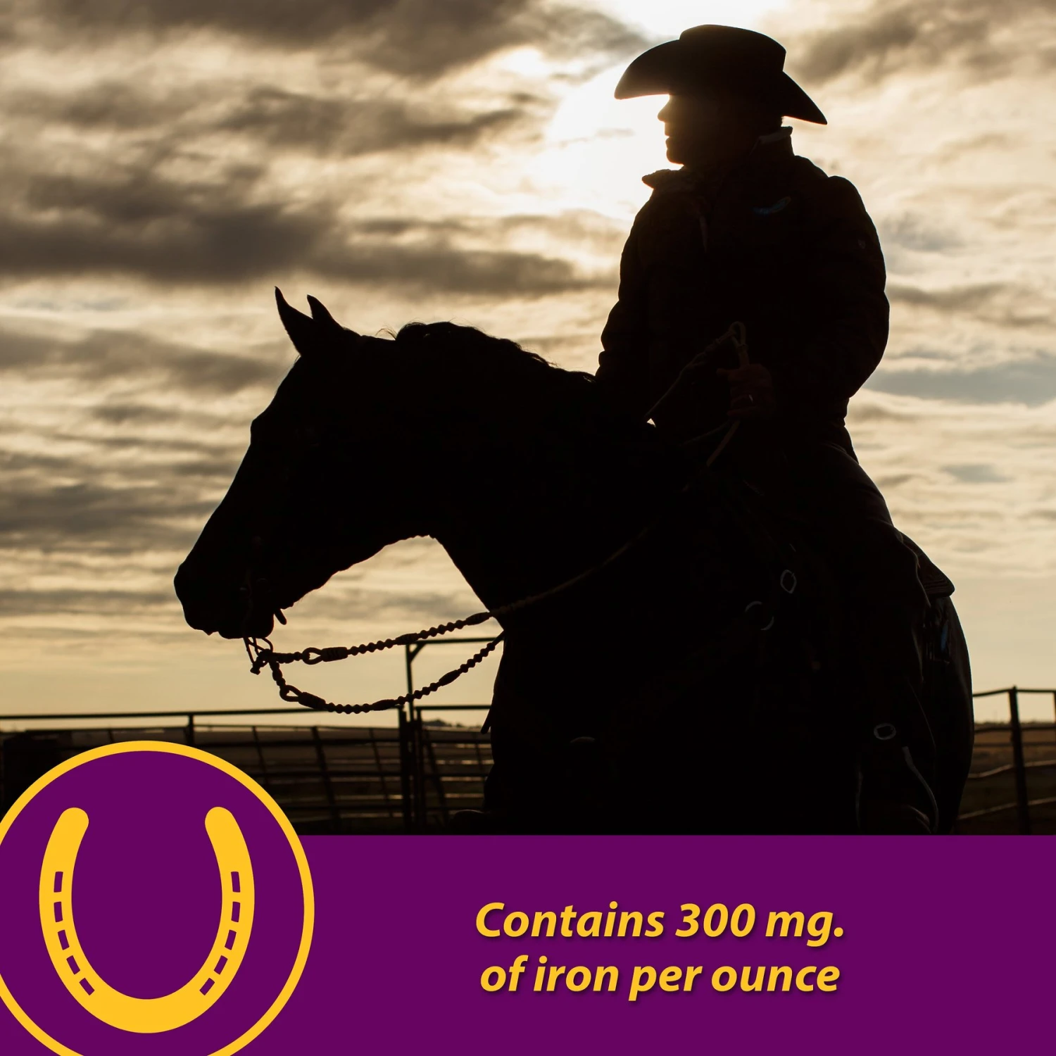 Horse Health Products Red Cell Iron Rich Vitamins & Minerals Liquid Horse Supplement 3 Horse Health Products Red Cell Iron Rich Vitamins & Minerals Liquid Horse Supplement - Image 3