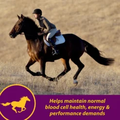 Horse Health Products Red Cell Iron Rich Vitamins & Minerals Liquid Horse Supplement 12 Horse Health Products Red Cell Iron Rich Vitamins & Minerals Liquid Horse Supplement -Weaver Leather || Finish Line || Cavalor Shop 165251 PT5. AC SS1800 V1556212933