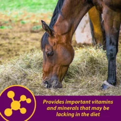 Horse Health Products Red Cell Iron Rich Vitamins & Minerals Liquid Horse Supplement 14 Horse Health Products Red Cell Iron Rich Vitamins & Minerals Liquid Horse Supplement -Weaver Leather || Finish Line || Cavalor Shop 165251 PT7. AC SS1800 V1614803811