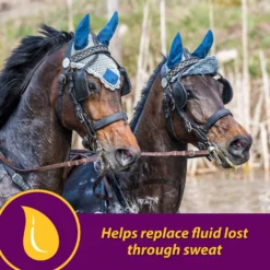 Horse Health Products Apple-Dex Electrolyte Apple Flavor Powder Horse Supplement -Weaver Leather || Finish Line || Cavalor Shop 165274 PT2. AC SS1800 V1614709034