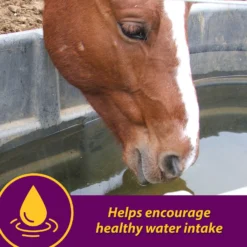 Horse Health Products Apple-Dex Electrolyte Apple Flavor Powder Horse Supplement -Weaver Leather || Finish Line || Cavalor Shop 165274 PT3. AC SS1800 V1614706033