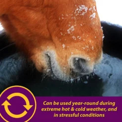 Horse Health Products Apple-Dex Electrolyte Apple Flavor Powder Horse Supplement -Weaver Leather || Finish Line || Cavalor Shop 165274 PT4. AC SS1800 V1614698195