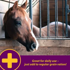 Horse Health Products Apple-Dex Electrolyte Apple Flavor Powder Horse Supplement -Weaver Leather || Finish Line || Cavalor Shop 165274 PT5. AC SS1800 V1614706022