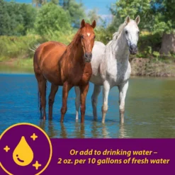 Horse Health Products Apple-Dex Electrolyte Apple Flavor Powder Horse Supplement -Weaver Leather || Finish Line || Cavalor Shop 165274 PT6. AC SS1800 V1614710508