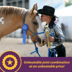 Horse Health Products Joint Combo Classic Pellets Horse Supplement 10 Horse Health Products Joint Combo Classic Pellets Horse Supplement -Weaver Leather || Finish Line || Cavalor Shop 165276 PT2. AC SS1800 V1657656047