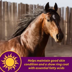 Horse Health Products Joint Combo Hoof & Coat 3-in-1 Apple Flavor Pellets Horse Supplement -Weaver Leather || Finish Line || Cavalor Shop 165280 PT5. AC SS1800 V1556213313