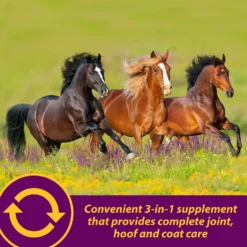 Horse Health Products Joint Combo Hoof & Coat 3-in-1 Apple Flavor Pellets Horse Supplement -Weaver Leather || Finish Line || Cavalor Shop 165280 PT7. AC SS1800 V1614803831