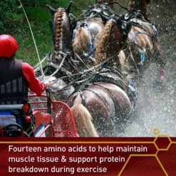 Vita Flex Pro Accel Health & Wellness Formula Pellets Horse Supplement -Weaver Leather || Finish Line || Cavalor Shop 165303 PT3. AC SS1800 V1649486212