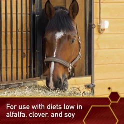 Vita Flex Pro Pure Lysine Amino Acid Powder Horse Supplement 151 Day Supply, 4-lb Bucket 10 Vita Flex Pro Pure Lysine Amino Acid Powder Horse Supplement 151 Day Supply, 4-lb Bucket -Weaver Leather || Finish Line || Cavalor Shop 165308 PT2. AC SS1800 V1644975412