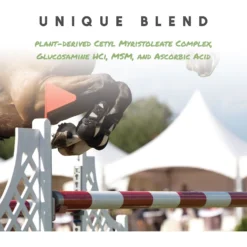 Manna Pro Cetyl-M Joint Support Apple Flavor Granules Horse Supplement -Weaver Leather || Finish Line || Cavalor Shop 180918 PT6. AC SS1800 V1632954383