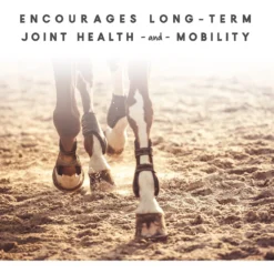 Manna Pro Cetyl-M Joint Support Apple Flavor Pellets Horse Supplement -Weaver Leather || Finish Line || Cavalor Shop 180920 PT3. AC SS1800 V1632959175