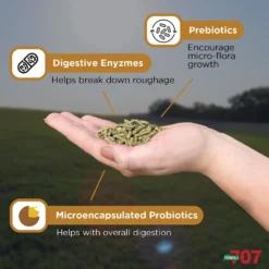 Formula 707 Digestive Health Hay Flavor Pellets Horse Supplement, 56 Count -Weaver Leather || Finish Line || Cavalor Shop 196754 PT3. AC SS1800 V1611844294