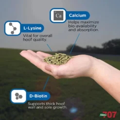 Formula 707 Hoof Health Hay Flavor Pellets Horse Supplement, 56 Count -Weaver Leather || Finish Line || Cavalor Shop 196756 PT3. AC SS1800 V1611787656