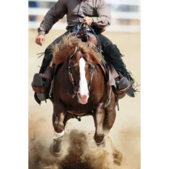 Formula 707 Joint 6-in-1 Hay Flavor Pellets Horse Supplement, 28 Count -Weaver Leather || Finish Line || Cavalor Shop 196758 PT3. AC SS1800 V1568053168