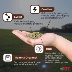 Formula 707 MuscleMx Muscle Care Hay Flavor Pellets Horse Supplement, 28 Count -Weaver Leather || Finish Line || Cavalor Shop 196760 PT3. AC SS1800 V1611793014