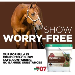 Formula 707 MuscleMx Muscle Care Hay Flavor Pellets Horse Supplement, 28 Count -Weaver Leather || Finish Line || Cavalor Shop 196760 PT4. AC SS1800 V1611789403