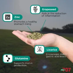 Formula 707 ULZERless Digestive Health Hay Flavor Pellets Horse Supplement, 28 Count -Weaver Leather || Finish Line || Cavalor Shop 196762 PT2. AC SS1800 V1612891272