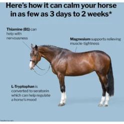 Formula 707 Calming Apple Flavor Pellets Horse Supplement -Weaver Leather || Finish Line || Cavalor Shop 196768 PT2. AC SS1800 V1611792106