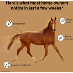 Formula 707 Daily Essentials Vitamins & Minerals Hay Flavor Pellets Horse Supplement -Weaver Leather || Finish Line || Cavalor Shop 196772 PT2. AC SS1800 V1611787012