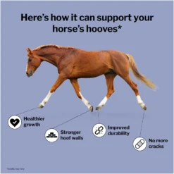 Formula 707 Hoof Health Hay Flavor Pellets Horse Supplement -Weaver Leather || Finish Line || Cavalor Shop 196779 PT2. AC SS1800 V1611789733