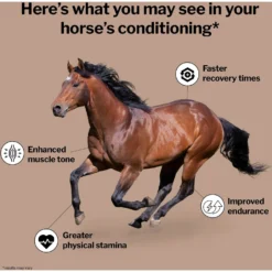 Formula 707 MuscleMx Muscle Care Hay Flavor Pellets Horse Supplement -Weaver Leather || Finish Line || Cavalor Shop 196785 PT2. AC SS1800 V1611788483