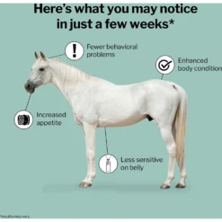 Formula 707 ULZERless Digestive Health Hay Flavor Pellets Horse Supplement -Weaver Leather || Finish Line || Cavalor Shop 196788 PT2. AC SS1800 V1612891274