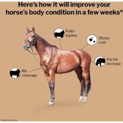 Formula 707 Weight Gain Crumble Horse Supplement -Weaver Leather || Finish Line || Cavalor Shop 196790 PT2. AC SS1800 V1568053368