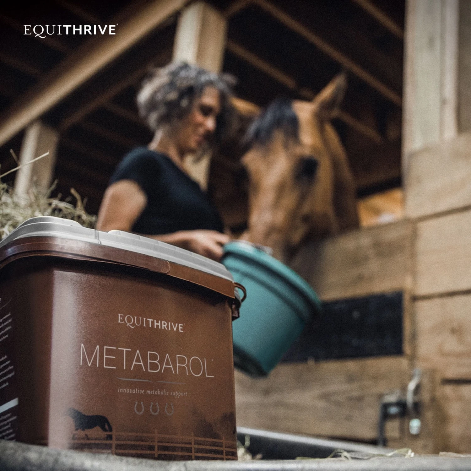 Equithrive Metabarol Metabolism Support Pellets Horse Supplement, 3.3-lb Tub 4 Equithrive Metabarol Metabolism Support Pellets Horse Supplement, 3.3-lb Tub - Image 4