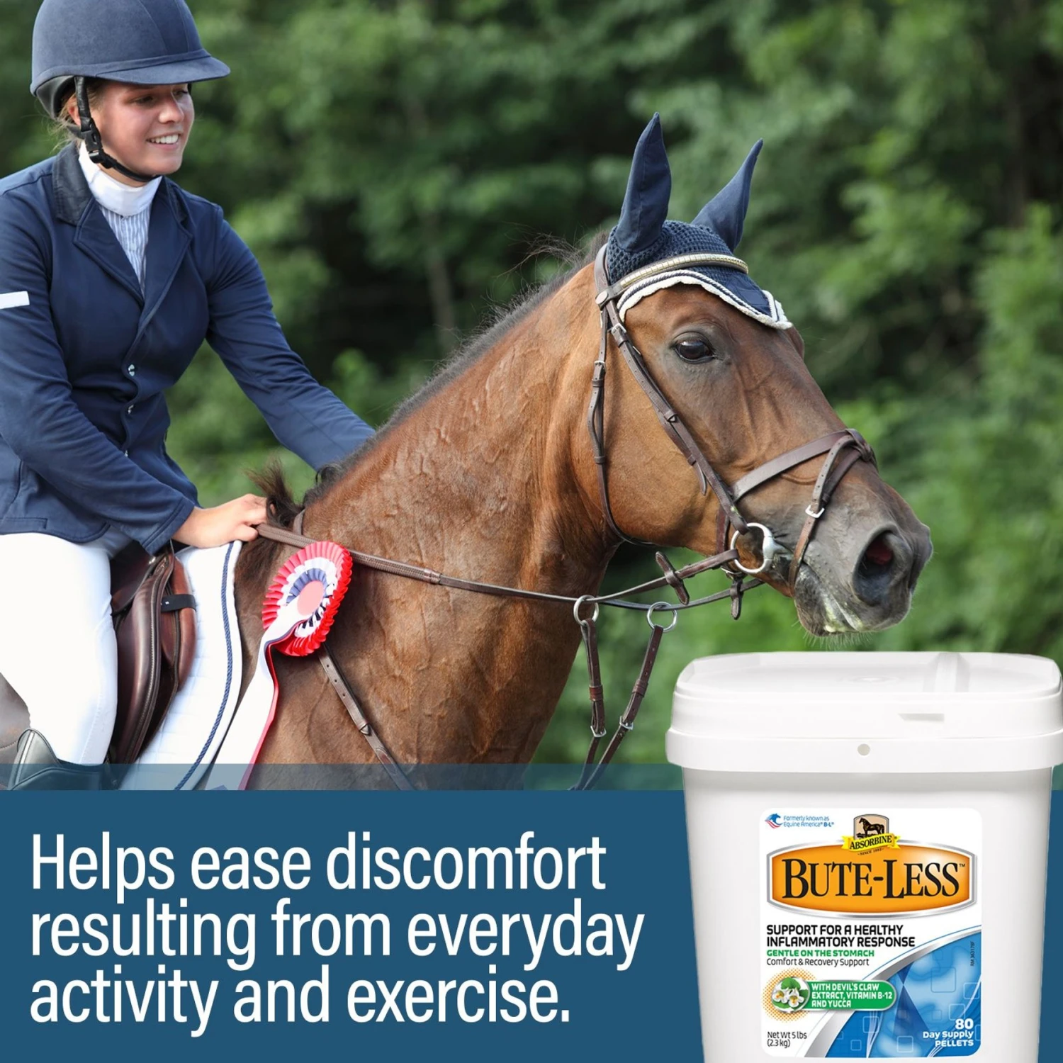Absorbine Bute-Less Comfort & Recovery Pellets Horse Supplement 4 Absorbine Bute-Less Comfort & Recovery Pellets Horse Supplement - Image 4